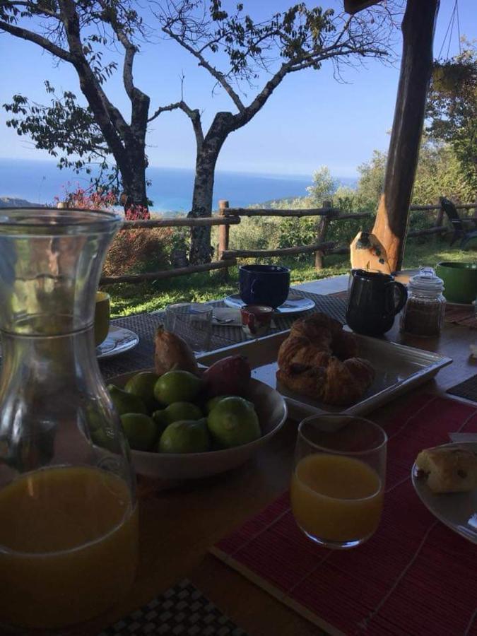 Bed and Breakfast Masseria Cata Catascia Tortorella Zewnętrze zdjęcie