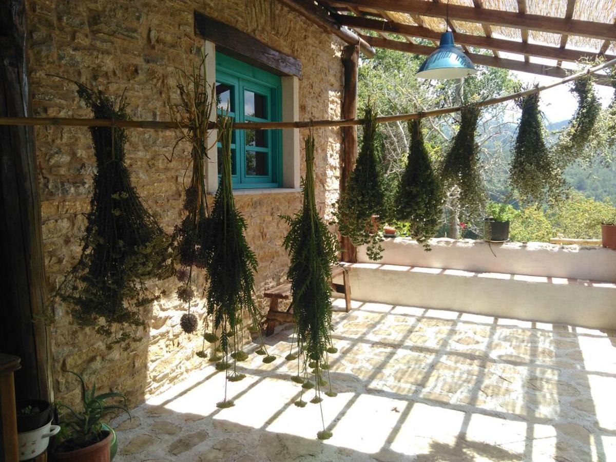 Bed and Breakfast Masseria Cata Catascia Tortorella Zewnętrze zdjęcie